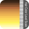 Hair Color Level Scale ヘア カラー レベル スケール - Hirokazu Ito